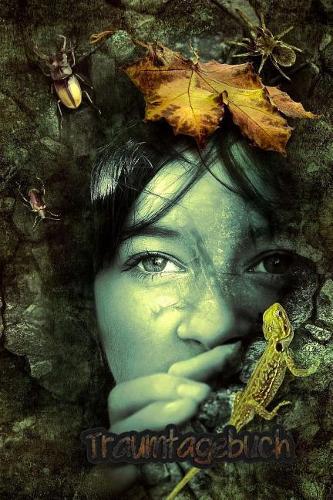 Traumtagebuch: Ein Traumtagebuch - Traumprotokoll - Traumjournal - Traumbericht - Nächtebuch - für kreative Menschen