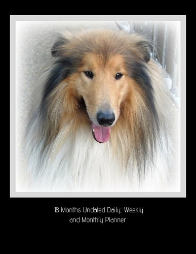 18 Months Undated Daily, Weekly and Monthly Planner: Non-Dated Planner Helps You to Stay Organized with Daily, Weekly and Monthly Tasks --Rough Collie Dog Breed Vol 3