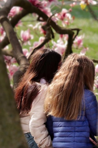 Best Friends Forever