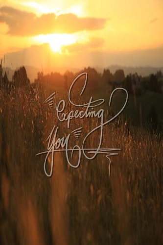 Expecting You: 6x9 Inch Lined a Beautiful Pregnancy Journal/Notebook for Expecting Mothers - Sunset, Golden Hour, Garden, Orange, Sky, Nature, Calligraphy Art with