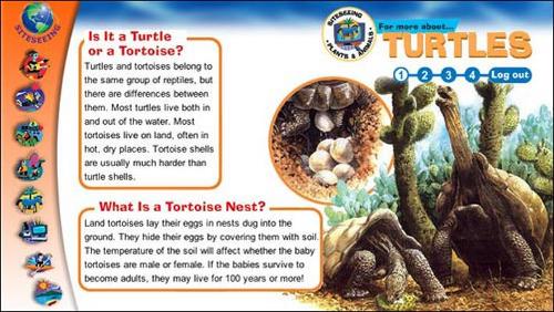 Living in Two Worlds