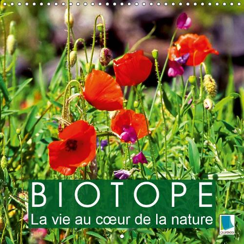 Biotope – La vie au c÷ur de la nature 2019: Diversité des habitats naturel dans le monde – Biotope(Calvendo Nature)