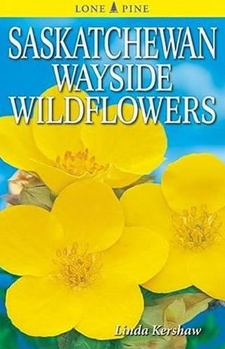 Saskatchewan Wayside Wildflowers