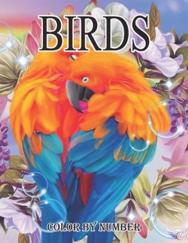 birds color by number book