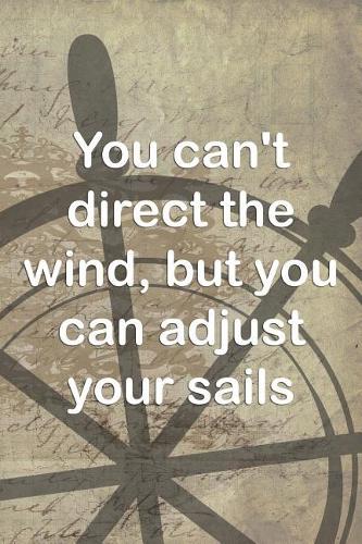 You Can't Direct The Wind, But You Can Adjust Your Sails