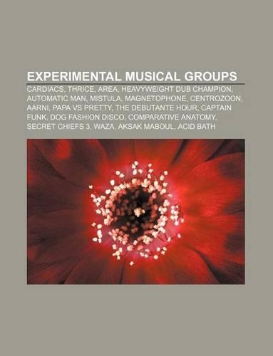 Experimental Musical Groups