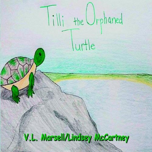 Tilli the Orphaned Turtle
