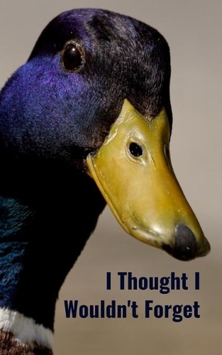 I Thought I Wouldn't Forget