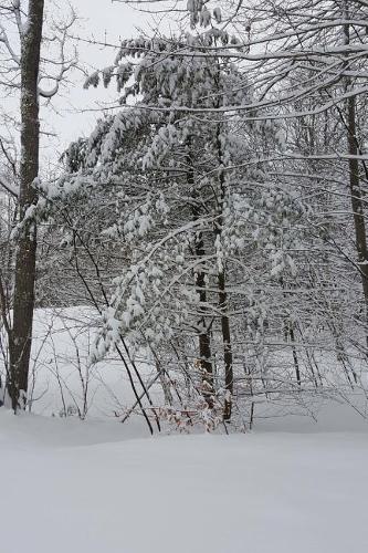 Pretty Winter Weather Journal