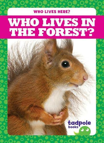 Who Lives in the Forest?: (Who Lives Here?)