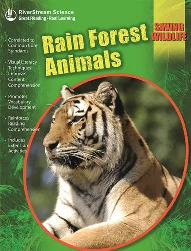 Rain Forest Animals