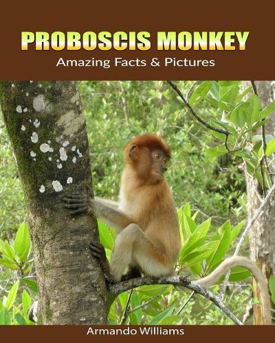 Proboscis Monkey