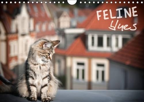 Feline Blues 2017: Racy Cats with Blues in the Blood!(Calvendo Animals)