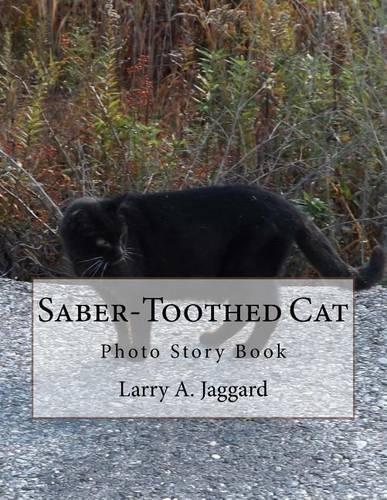Saber-Toothed Cat