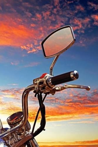 Sure Looks Like Freedom Journal: 150 page lined notebook/diary