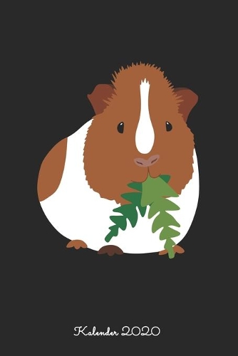 Meerschweinchen frisst Löwenzahn