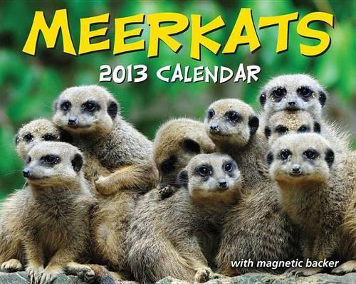 Meerkats 2013 Mini Day-To-Day Calendar
