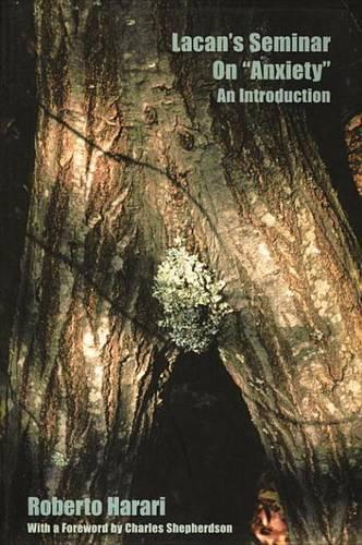 Lacan's Seminar on Anxiety: An Introduction(Lacanian Clinical Field)