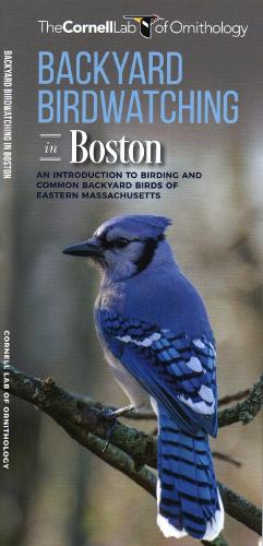 Backyard Birdwatching in Boston: An Introduction to Birding and Common Backyard Birds of Eastern Massachusetts(All about Birds)