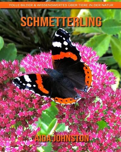Schmetterling: Tolle Bilder & Wissenswertes über Tiere in der Natur