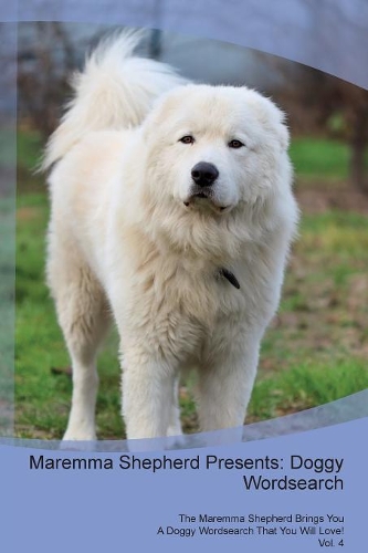 Maremma Shepherd Presents