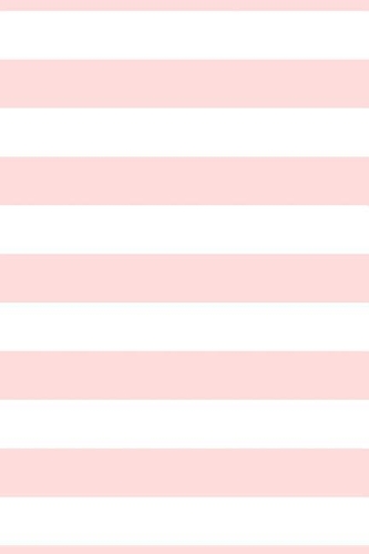 2019 Daily Planner Blush Pink White Stripes Notebook 384 Pages