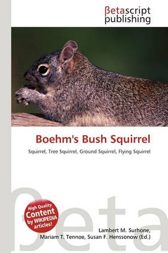 Boehm's Bush Squirrel