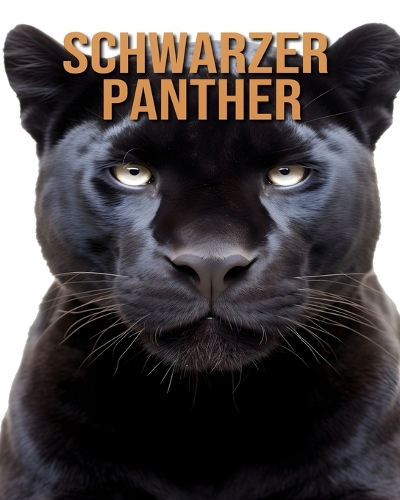 Schwarzer Panther: Erfahren Sie mehr über Schwarzer Panther und genießen Sie erstaunliche Fakten und Bilder