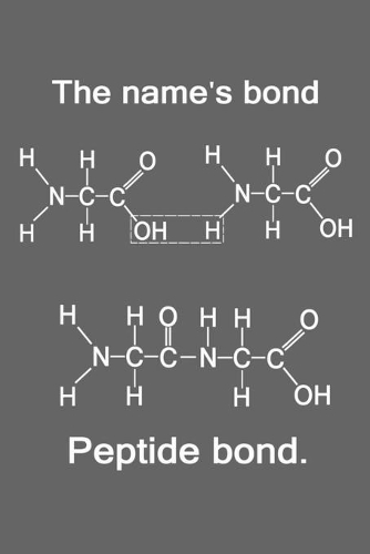 The Names Bond Peptide Bond: Funny Chemistry and Science Humor Notebook. Great Gift for Teachers Professors and Students