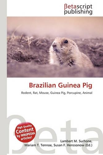 Brazilian Guinea Pig
