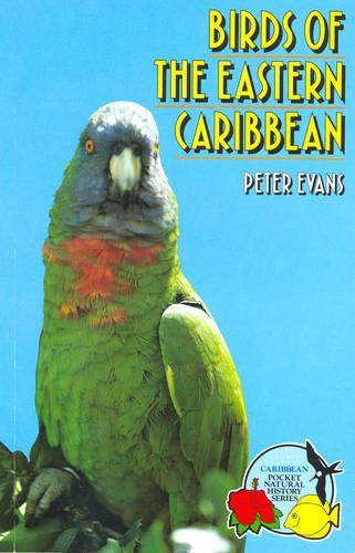 Birds Of The Eastern Caribbean