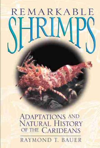 Remarkable Shrimps