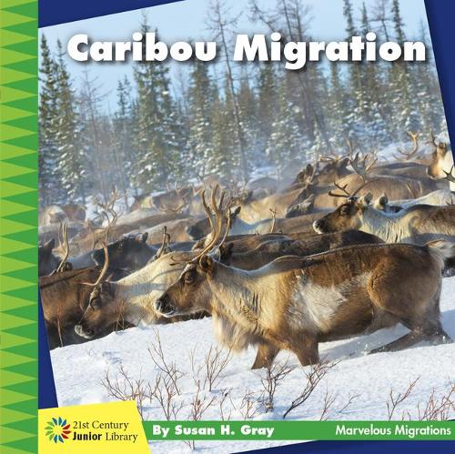 Caribou Migration: (21st Century Junior Library: Marvelous Migrations)