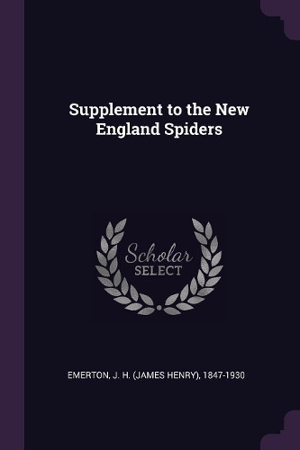 Supplement to the New England Spiders