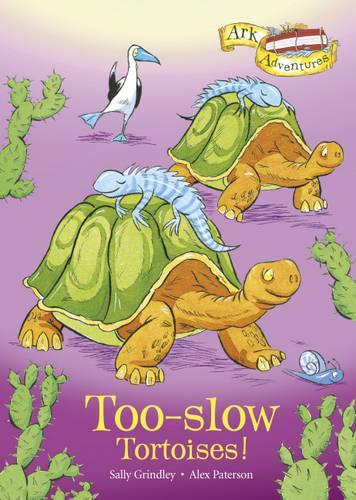 Too-slow Tortoises!