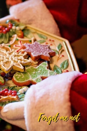 Don't Forget Me: Christmas Dessert From Santa.Internet Password Logbook with alphabetical tabs.Personal Address of websites, usernames, passwords notebook/Journal/Or