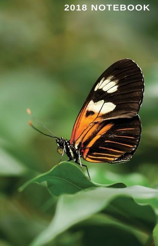 2018 Notebook: A carry-able notebook for 2018 which you could write anytime