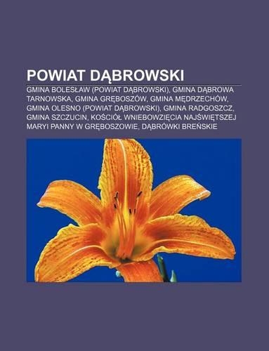 Powiat D Browski: Gmina Boles Aw (Powiat D Browski), Gmina D Browa Tarnowska, Gmina Gr Boszow, Gmina M Drzechow(Polish)