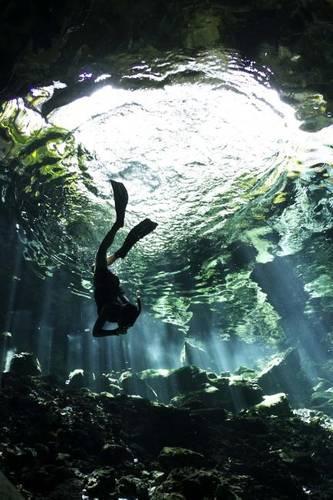 Diver in Cenote Cave System Mexico Journal