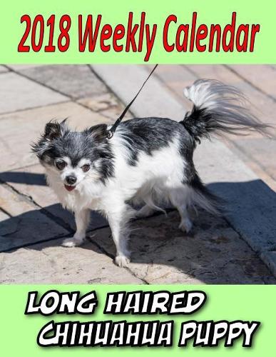 2018 Weekly Calendar Long Haired Chihuahua Puppy