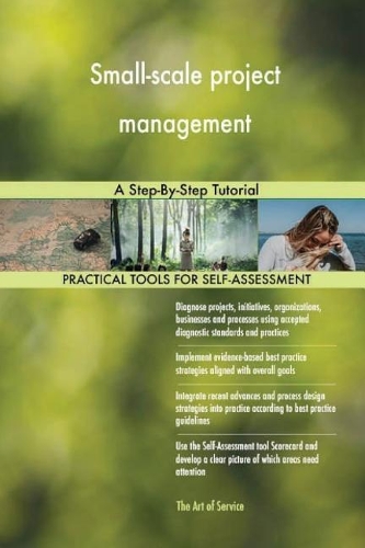 Small-scale project management