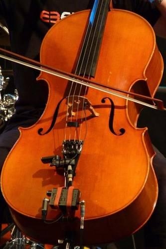 Cello Musical Instrument Journal
