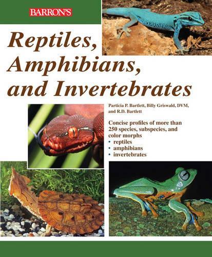 Reptiles, Amphibians and Invertebrates