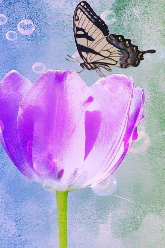 Dotted Journal 6 X 9