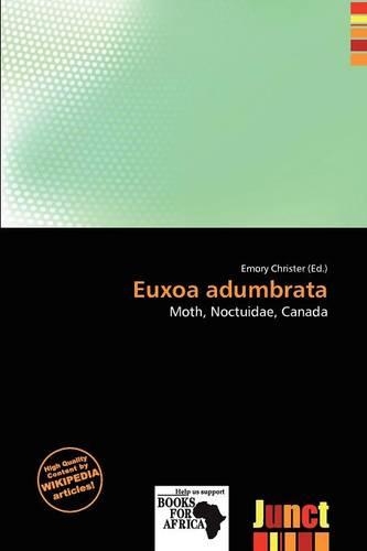 Euxoa Adumbrata