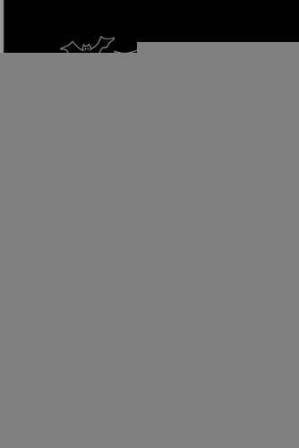 You Witches Be Crazy Happy Halloween: Blank Lined Notebook Journal Wide Ruled 6x9 130 Pages Fun Halloween Gift Idea