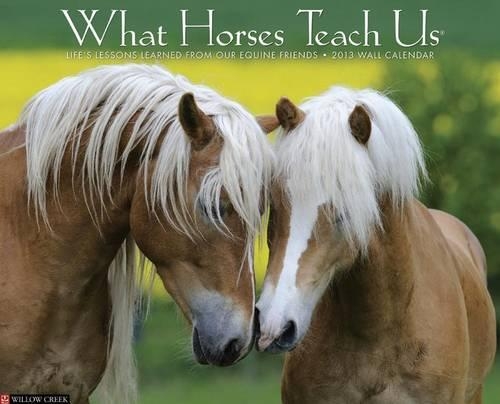 What Horses Teach Us Wall Calendar