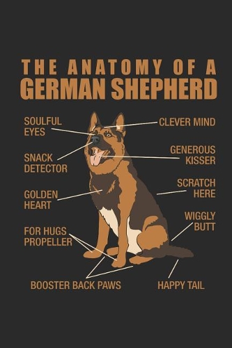 The Anatomy of a German Shepherd