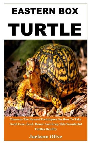 Eastern Box Turtle