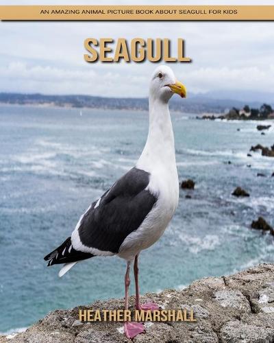 Seagull